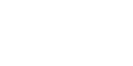SENIOR VOICE
