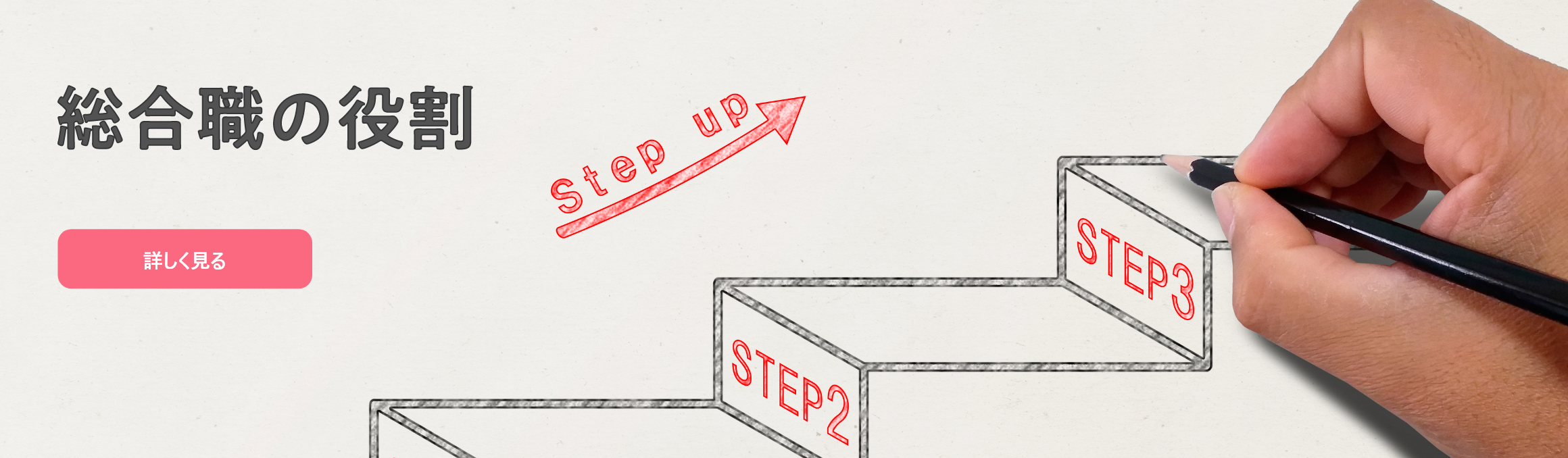 総合職の役割